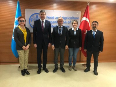 BİRLEŞMİŞ MİLLETLER GIDA VE TARIM ÖRGÜTÜ FAO ZİYARET ETTİK