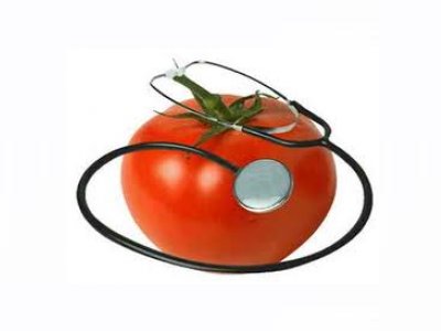 ISO 22000:2005 GIDA GÜVENLİĞİ YÖNETİM SİSTEMİ EĞİTİMİ