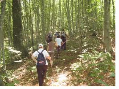 DOĞA YÜRÜYÜŞÜNDE BULUŞALIM