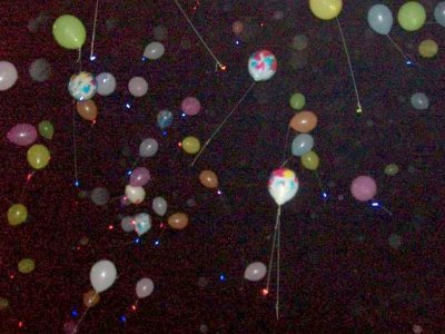 GIDA MÜHENDİSLERİ BİR DİLEK TUTTU
