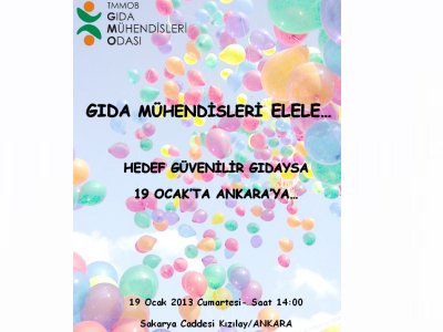 19 OCAK 2013 GÜNÜ MESLEĞİMİZ İÇİN ANKARA`DAYIZ
