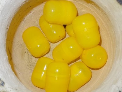 FUTBOL TURNUVASI İÇİN KURALAR ÇEKİLDİ GRUPLAR BELİRLENDİ 