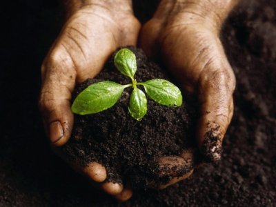 ÜCRETSİZ SEMİNERORGANİK TARIM