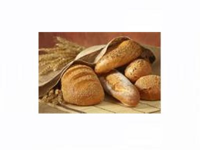 GAZİOSMANPAŞA’DA EKMEK İSRAFINI ÖNLEME BİLİNÇLENDİRME PANELİ