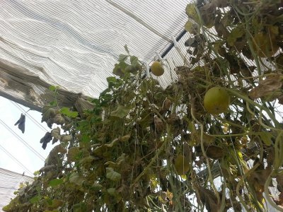 YILDIZ TEKNİK ÜNİVERSİTESİNİ ZİYARET ETTİK