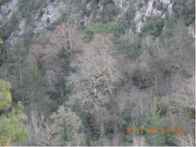 MANAVGAT AHMETLER KANYONU HES PROJESİ