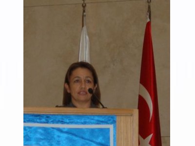 TMMOB 41 DÖNEM 1 DANIŞMA KURULU TOPLANTISI