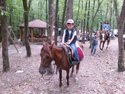 GIDA MÜHENDİSLERİ ODASI İSTANBUL ŞUBESİ GELENEKSEL PİKNİĞİMİZİ 31 AĞUSTOS PAZAR GÜNÜ GERÇEKLEŞTİRDİK