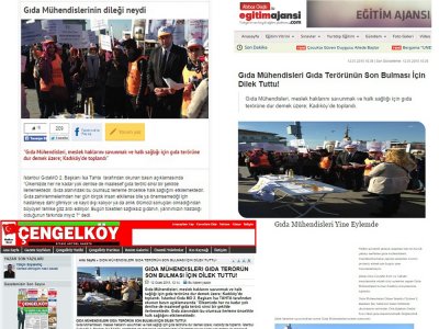 DİLEK FENERİ EYLEMİNİN BASINDAKİ DİĞER YANSIMALARI