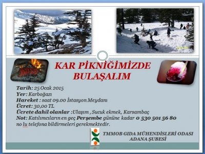 KAR PİKNİĞİ