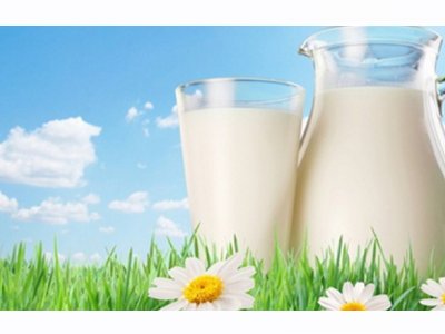 DAVET`LİSİNİZ``SÜT`` KONULU SEKTÖR BULUŞMASI