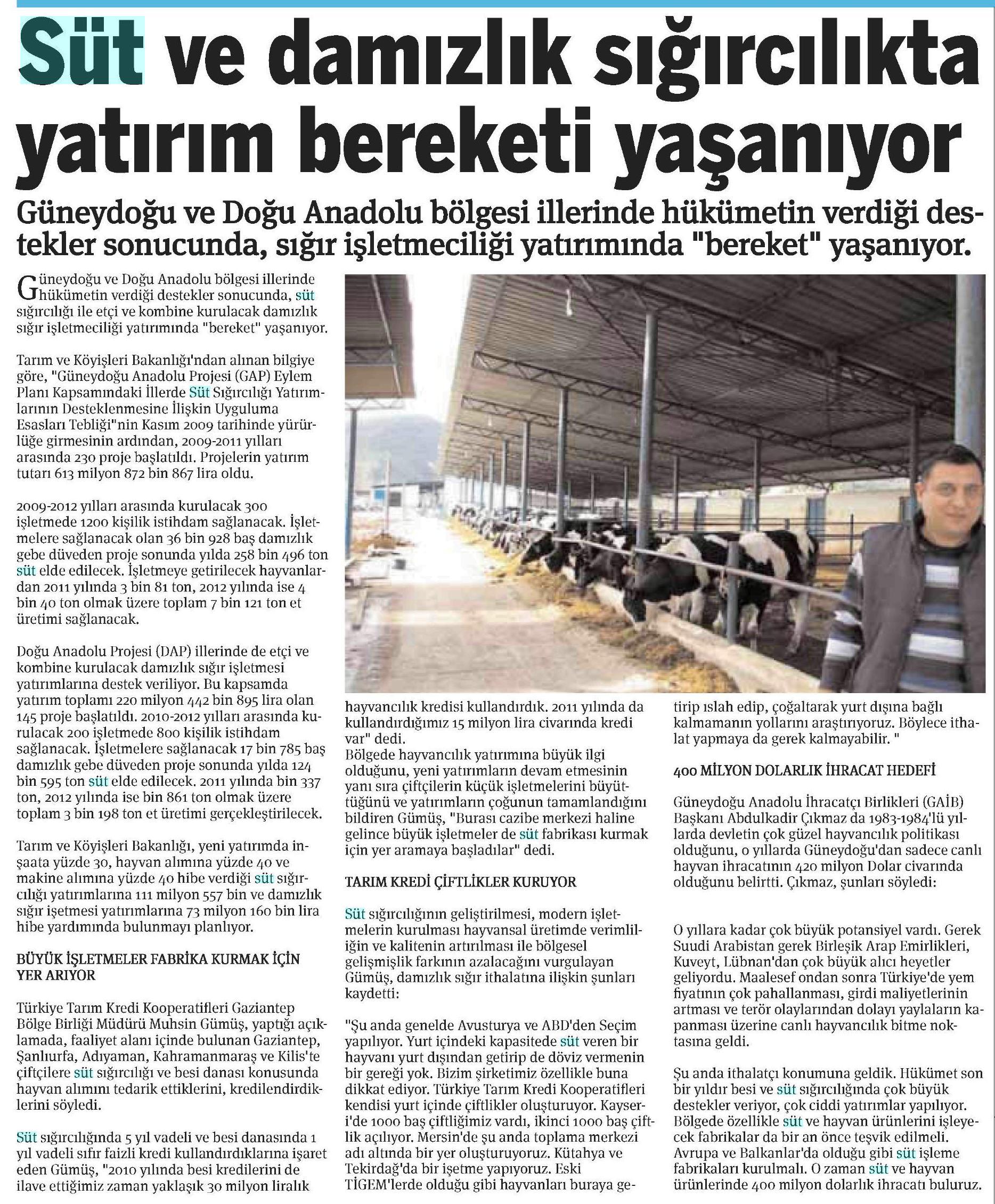 SÜT VE DAMIZLIK SIĞIRCILIKTA YATIRIM BEREKETİ YAŞANIYOR
