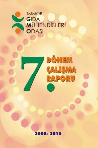 1 7. DÖNEM ÇALIŞMA RAPORU KİTABI 